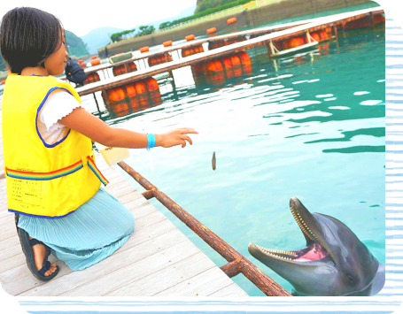 壱岐イルカパークの写真